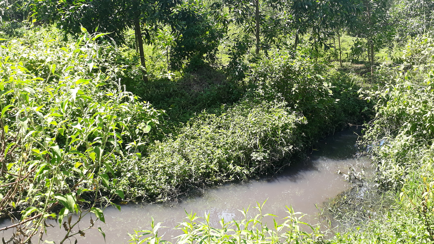 Núi rác lộ thiên đe dọa người dân Huế - ảnh 4